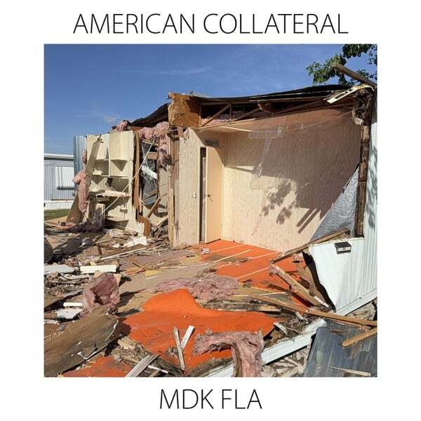 Cover art for American Collateral